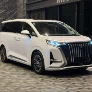 Denza D9 (White)