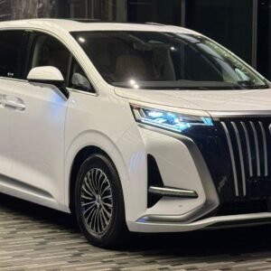 Denza D9 (White)